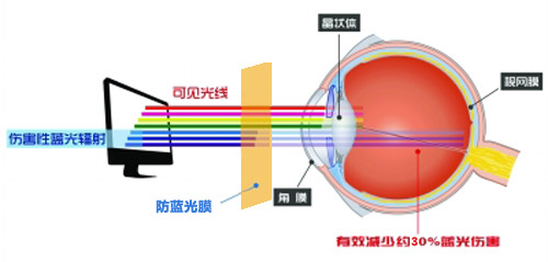大菠萝导航最新科技成果 大菠萝视频下载成护眼利器 大菠萝导航最新科技成果 大菠萝视频下载成护眼利器